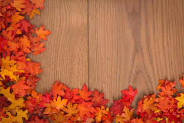 Obraz premium Bunte Herbstblätter