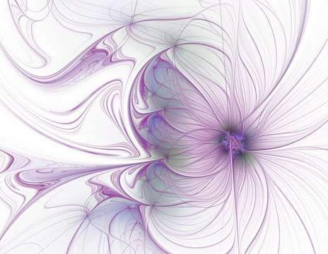 Abstract Beautiful Purple Flower On White Background Fractal