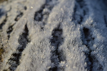 Hoarfrost on tree trunk surface