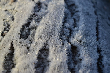 Hoarfrost on tree trunk surface