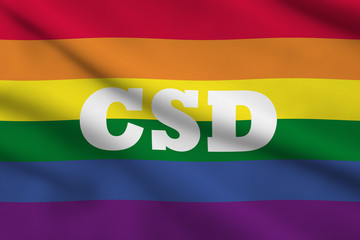 Rainbow Flag CSD