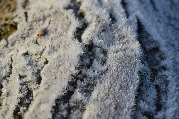 Hoarfrost on tree trunk surface