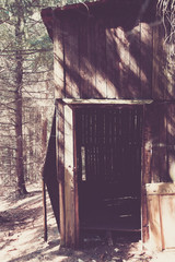 old wooden shed in a forest