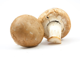 fresh champignons brown version isolated