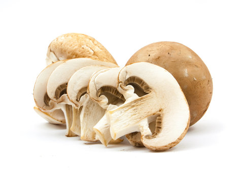 fresh champignons brown version isolated
