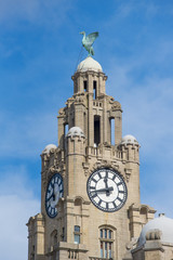 Fototapeta na wymiar The Liver Bird on the Liver building, Liverpool, England