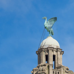 The Liver Bird on the Liver building, Liverpool, England