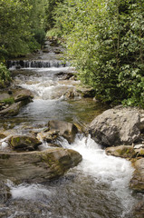 stormy mountain river in the Ukrainian Carpathians
