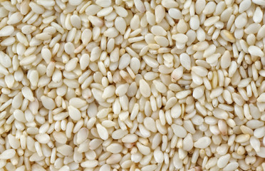 sesame background