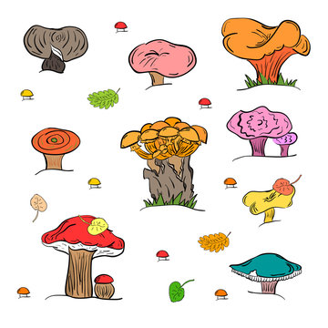 Set of Hand Drawn Painted Mushrooms  Isolated on White. Autumn Falling Leaves. Doodle Style. Vector Illustration.