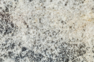 Marble patterned texture background at temple