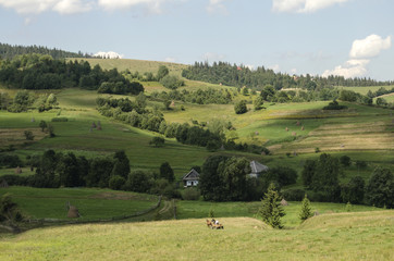 Fototapeta na wymiar picturesque green meadows of Ukrainian Carpathians 