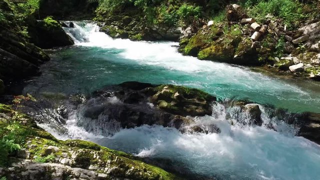 4K. Wild Radovna river flows in Vintgar Gorge. Clean blue water and green forest. Triglav National Park, Julian Alps, Bled valley, Slovenia, Europe.