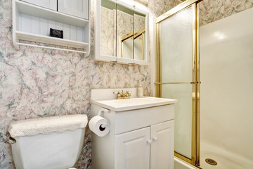 Classic American bathroom interior with vanity cabinet and toilet
