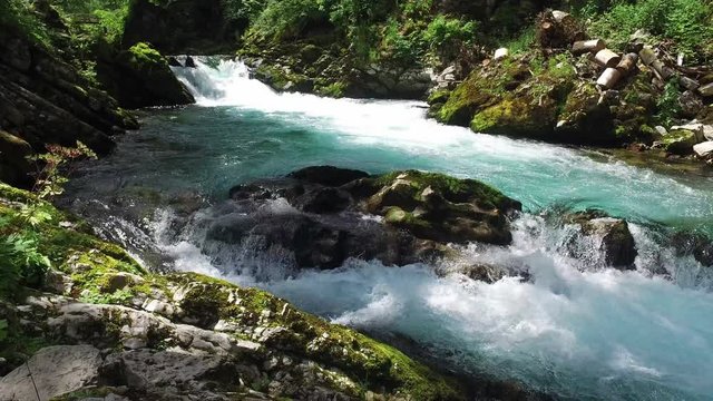 4K. Wild Radovna river flows in Vintgar Gorge. Clean blue water and green forest. Triglav National Park, Julian Alps, Bled valley, Slovenia, Europe. Motion view.