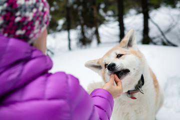 Woman feeding a dog on winter hiking trip in forest. Girl hiking in white winter woods.