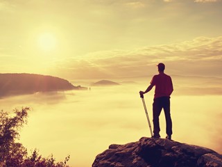 Tourist with hiking poles stand on cliff at heather bush on peak of rock