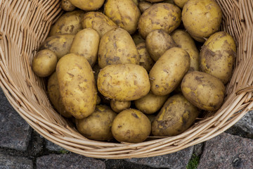 Fototapeta na wymiar Potatoes. Fresh potatoes. Potatoes on market