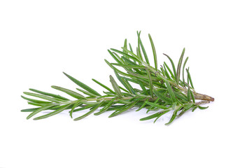 Fototapeta premium rozmaryn na białym tle