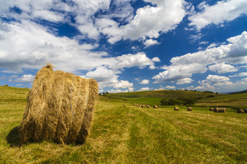 a harvest landscape vista in rolling hills in Romania with round