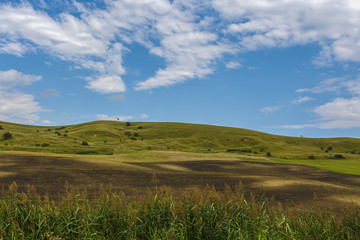 Obraz premium beautiful landscape with grass on a hill