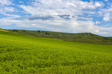 beautiful landscape with grass on a hill