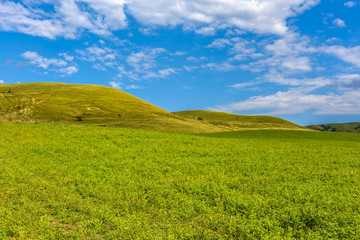beautiful landscape with grass on a hill