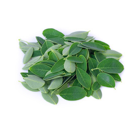 Fototapeta premium Moringa leaves isolate on white background