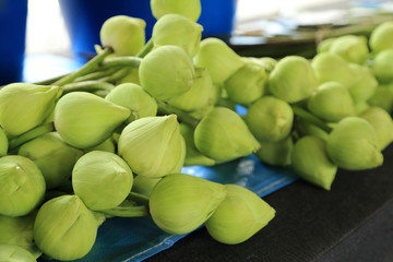 Bunch of lotus flowers for offerings Buddha in Buddhist religiou