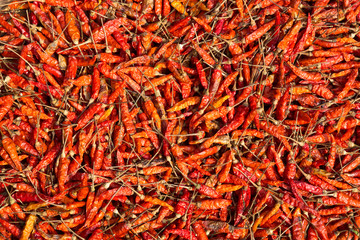 Fototapeta premium red dried chili