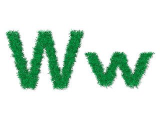 Vector green grass uppercase and lowercase alphabet letter.
