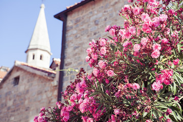 Old town in Europe at sunny day