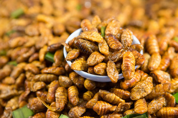 stir fried silkworms ..