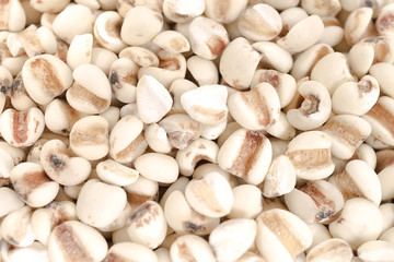 Job's tears on the background and texture, Job's tears, Millet grains, Organic. Vegetarian and healthy diet concept.
