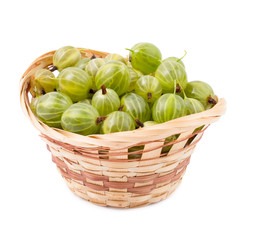 Gooseberry in a basket