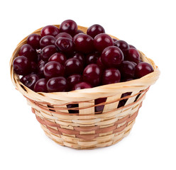 Cherry in a basket