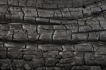 Burned wood texture, background
