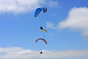 Paragliders