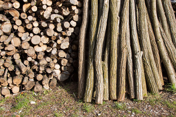 Piles of wood - firewood