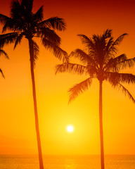 Obraz na płótnie Canvas Tropical island sunset with silhouette of palm trees, hot summer day vacation background, golden sky with sun setting over horizon