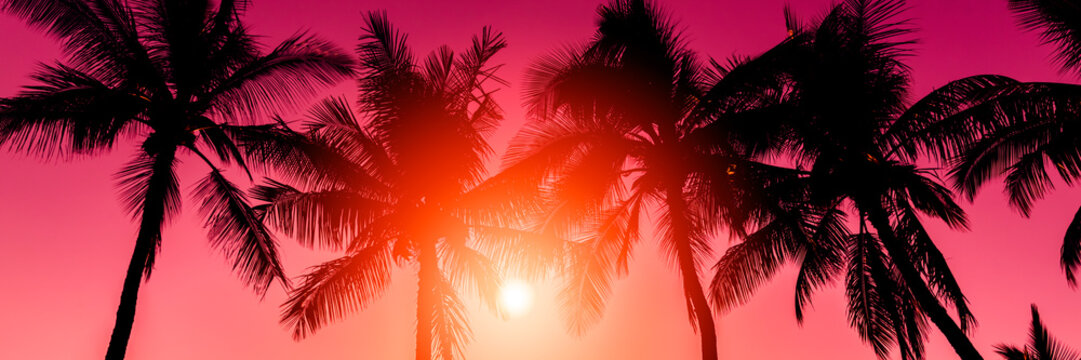 Fototapeta Golden sky with palm trees tropical sunset