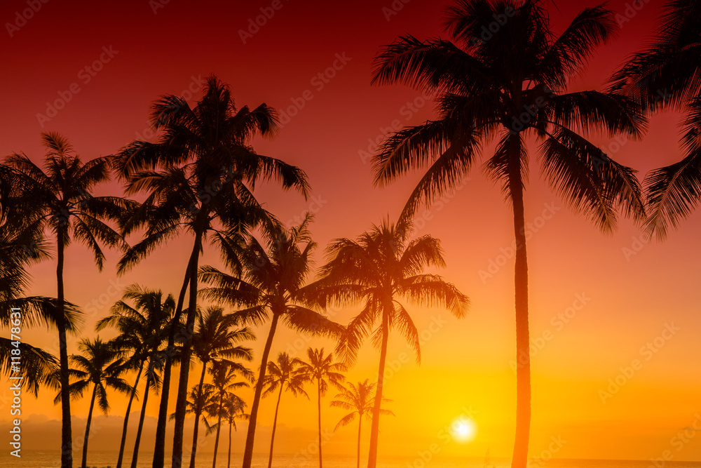 Wall mural Tropical island sunset with silhouette of palm trees, hot summer day vacation background, golden sky with sun setting over horizon - Wall murals