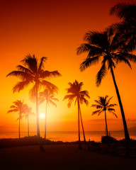Goldener Himmel mit tropischem Sonnenuntergang der Palmen