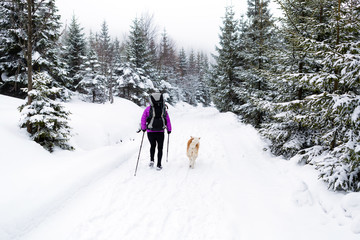 Happy woman walking in winter forest with dog. Girl hiking in white winter woods.