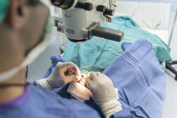Cirugía de de ojos de un gato. Veterinario