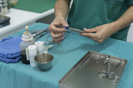Instrumental quirurgico veterinario