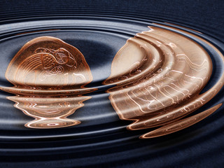 Irish Pound (IEP) coins under water