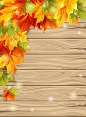 Naklejka na ściany i meble Autumn leaves on the background of wooden boards, maple leaves of bright colors. Vector illustration.