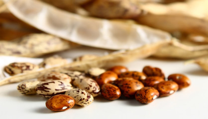 ripe beans on white background