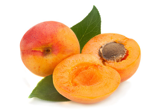 Apricot fruit on white